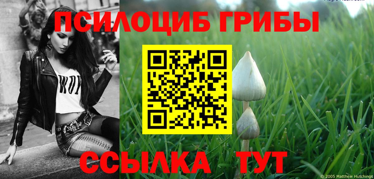 Галлюциногенные грибы Psilocybe  Вход с VPN  Псилоцибиновые грибы мухоморы  Гусев 